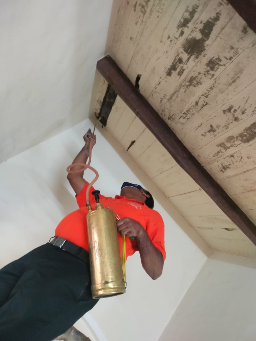 Professional Service